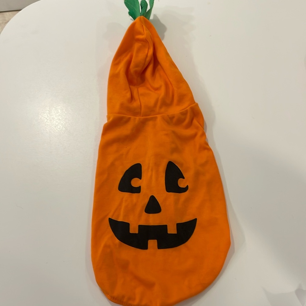 Pumpkin dog costume fits size small